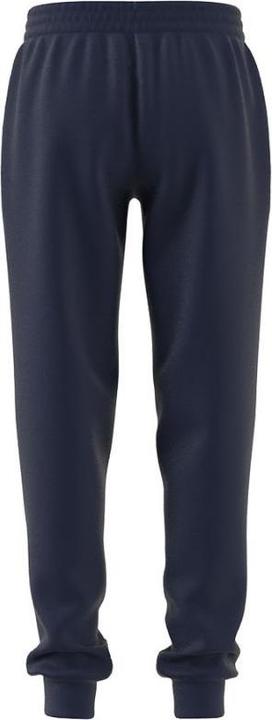 Actual product image adidas Entrada 22 sweatpants kids (152)