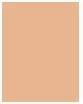 Actual product image Collistar Impeccable (10N Ivory)