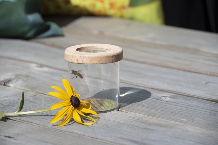 Immagine prodotto Gardenlife Vaso per lo studio degli insetti (KG228)