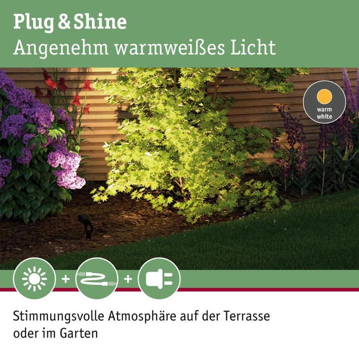 Produktbild Paulmann Outdoor Plug & Shine Sting Starterset (520 lm, IP67)