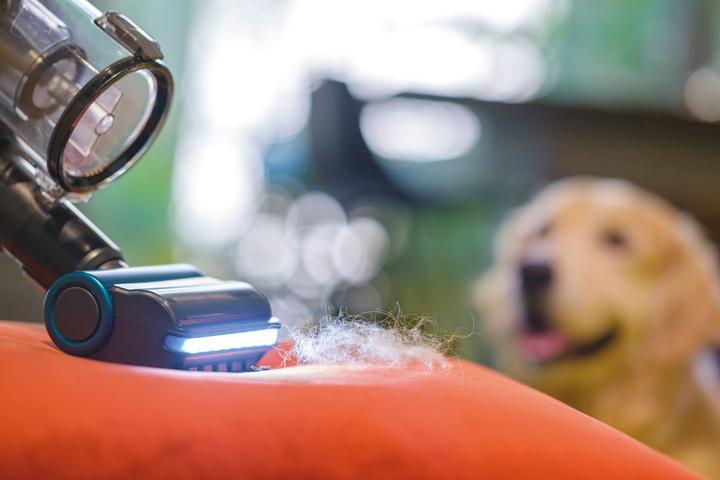 Actual product image Hoover HF9 Pets