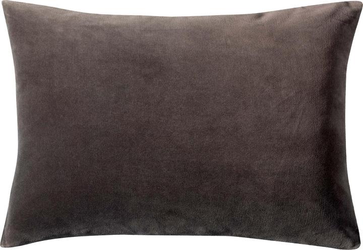 Cocoa, Marron