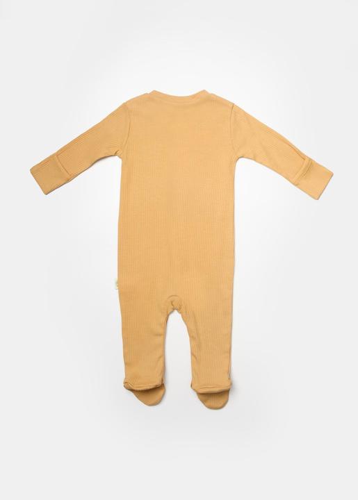 Produktbild BabyCosy Strampler mit Füssen, 2 Pack (68)