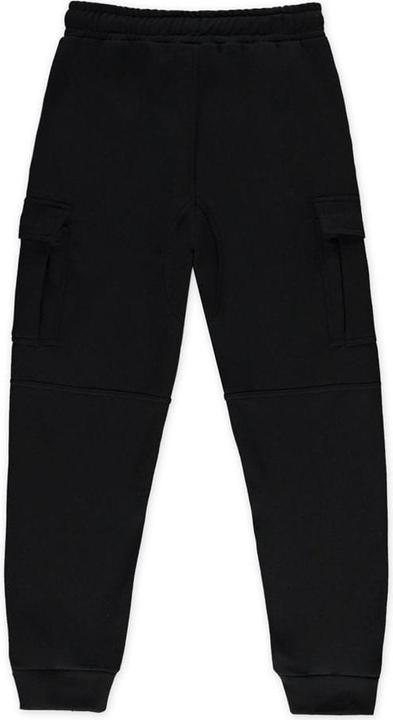 Actual product image Difuzed Assassin's Creed Shadows Jogginghose Ronin Cargo Grösse L (L)