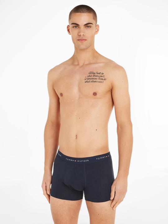 Actual product image Tommy Hilfiger Trunk (L, pack of 3)