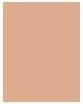 Produktbild L'Oréal Paris Infallible 24H Fresh Wear (260 Golden Sun)
