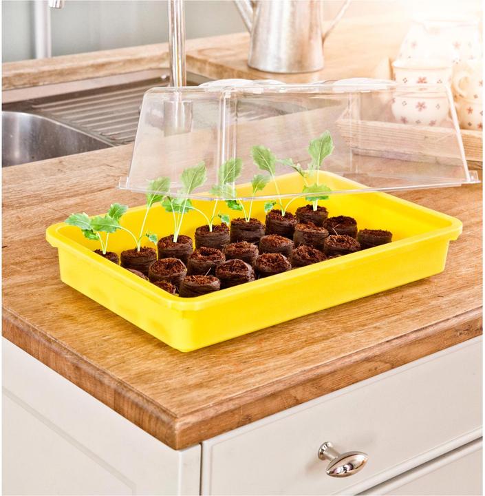 Produktbild Windhager AussaatSchalen