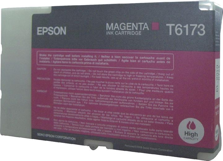 Actual product image Epson T6173 (M)