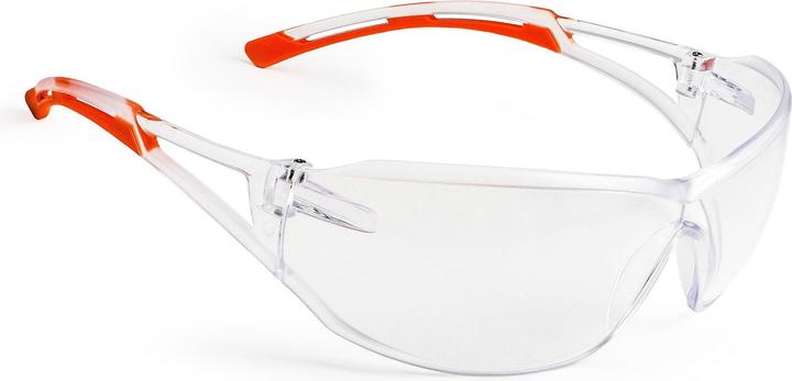 Unico Lunettes de protection 1100 CSV Transparent
