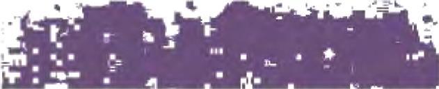 Actual product image Schmincke Pastel Crayon Violet Deep 059 H (Deep Violet)