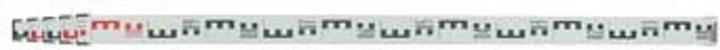 Actual product image Nestle Telescopic levelling meter, 1.24 - 5.00 m (5000 mm)