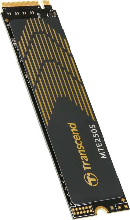 Actual product image Transcend MTE250S (1000 GB, M.2 2280)
