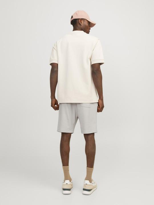 Actual product image Jack & Jones Jpstkane Jjvesterbro Sweat Shorts Gms Sn (L)