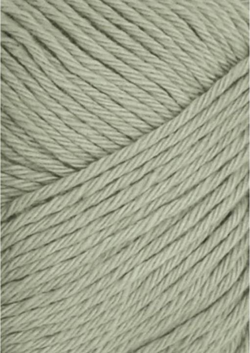 Col. 9041 dusty light green
