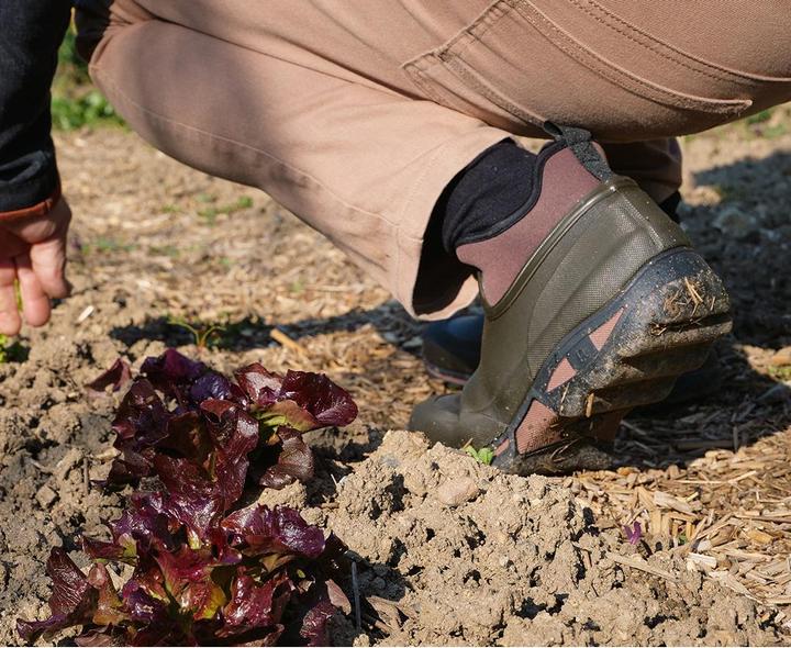 Actual product image Rouchette Clean Land (45)