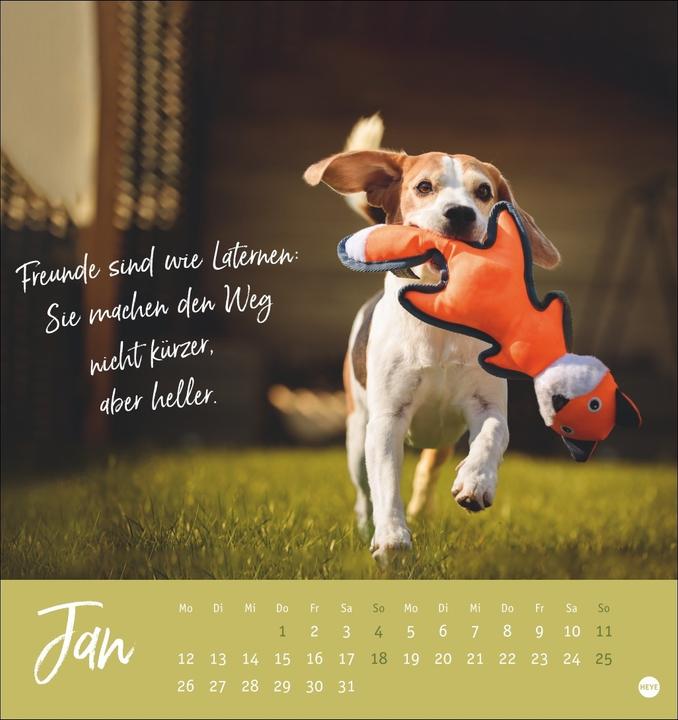 Actual product image Ziemlich beste Freunde Postkartenkalender 2026 - Für immer dein (Hardcover, German)