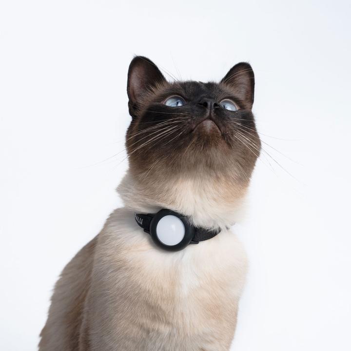 Produktbild LucyBalu DORI AirTag Katzenhalsband (Nylon) (One Size, Katze, Allgemein)