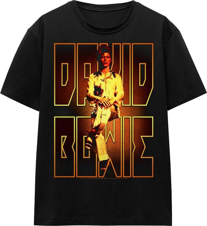 David Bowie Perched TShirt (M)