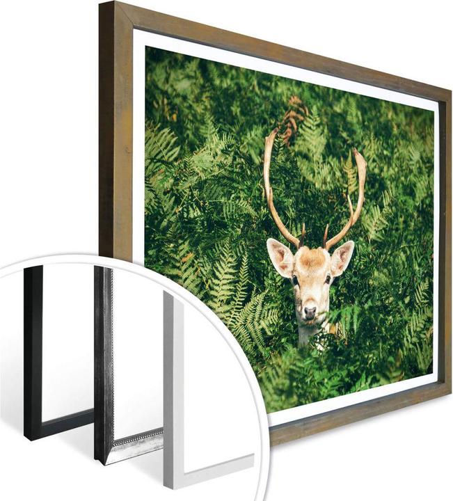 Actual product image Trenddeko Hide and seek in the forest (80 x 60 cm)