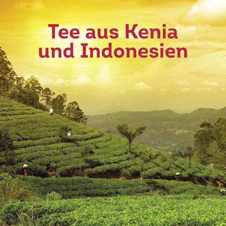 Produktbild Lipton Teebeutel (1.80 g)