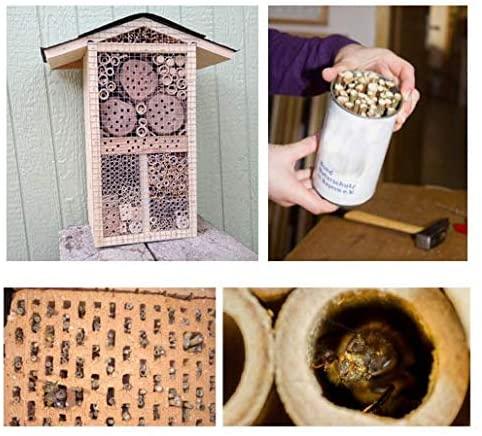 Produktbild Super Idee Bambusröhrchen für Insektenhotel (Wildbienen, Biene)
