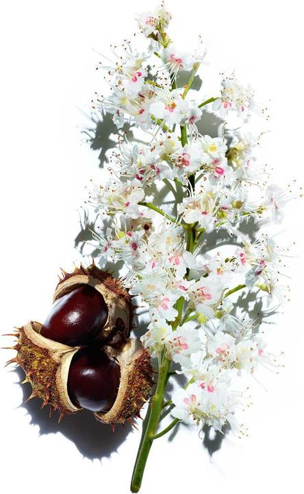 Actual product image Clarins Nutri-Lumière - Day Emulsion (50 ml, Day cream)