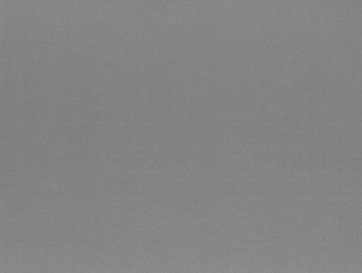 Papstar Tovagliette (100 x, 30 x 40 cm)