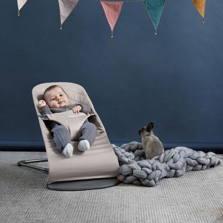 Actual product image BabyBjörn Bliss