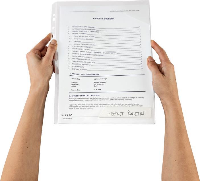 Actual product image Leitz CombiFile (A4, 1 x)