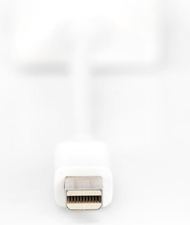 Immagine prodotto Digitus Cavo adattatore DisplayPort, mini DP - HD15 St/Bu DP, CE, bianco (Mini DP, 15 cm)