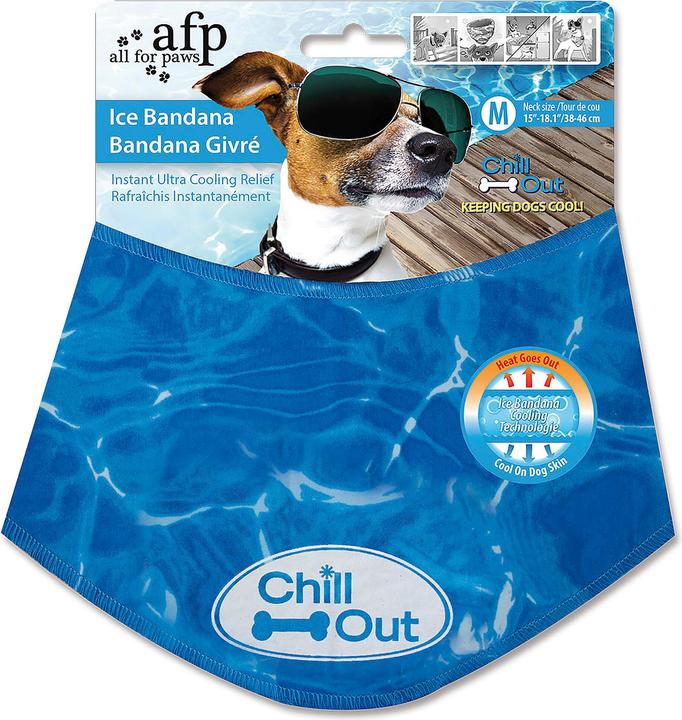 All for Paws Chill Out