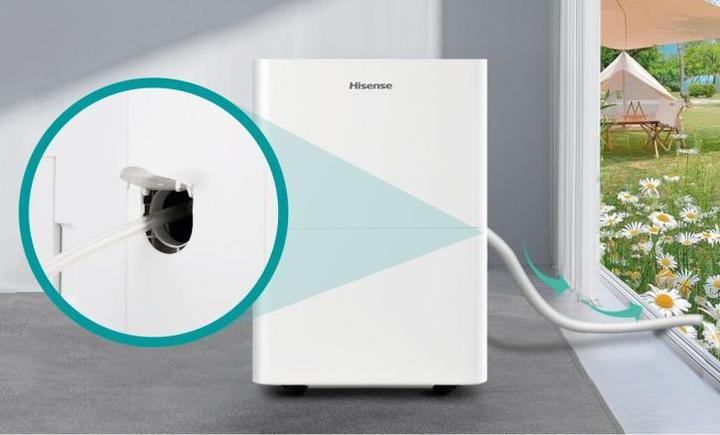 Actual product image Hisense D20HW (50 m², 20 l/24h)
