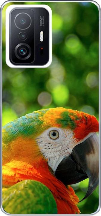 Parrot