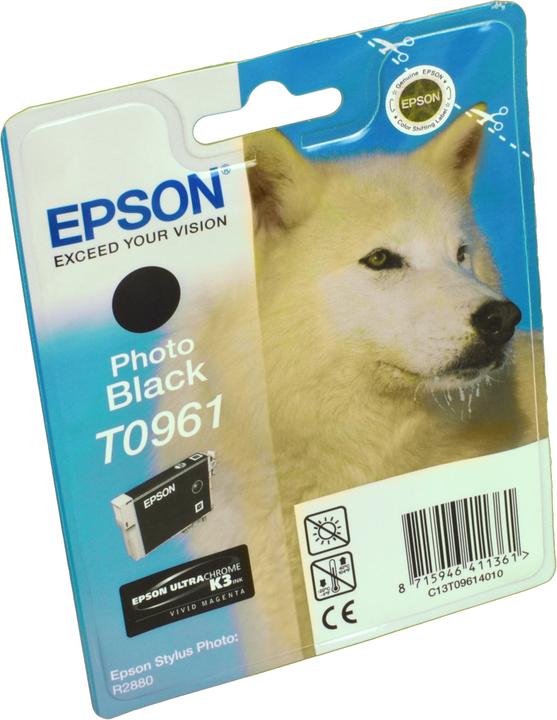 Actual product image Epson T0961 (PBK)