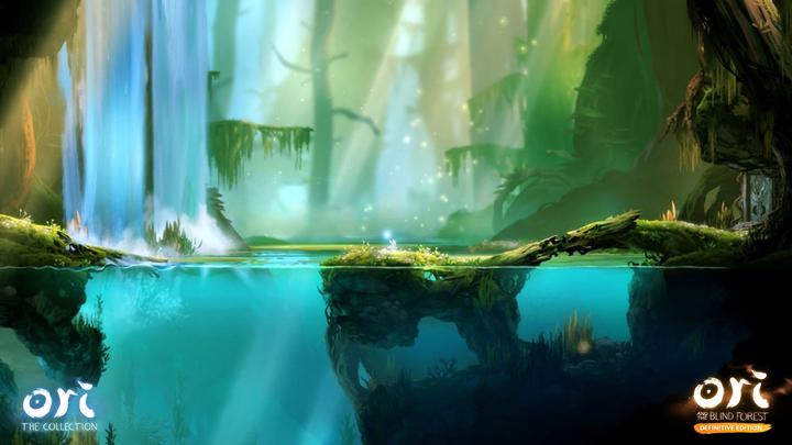 Image du produit Skybound Ori - La collection (Switch, Switch Lite, Switch OLED, DE)