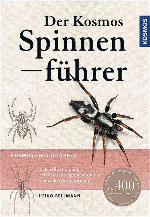 Produktbild Kosmos Der neue Spinnenführer (Deutsch, Heiko Bellmann, 2016)