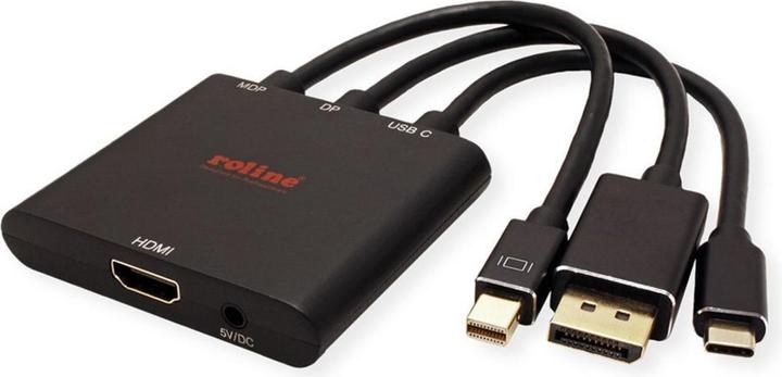 Produktbild Roline Adapterkabel Mini DisplayPort / DisplayPort / Typ C (HDMI, 15 cm)
