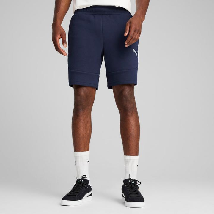 Actual product image Puma teamEVOSTRIPE Shorts (M)