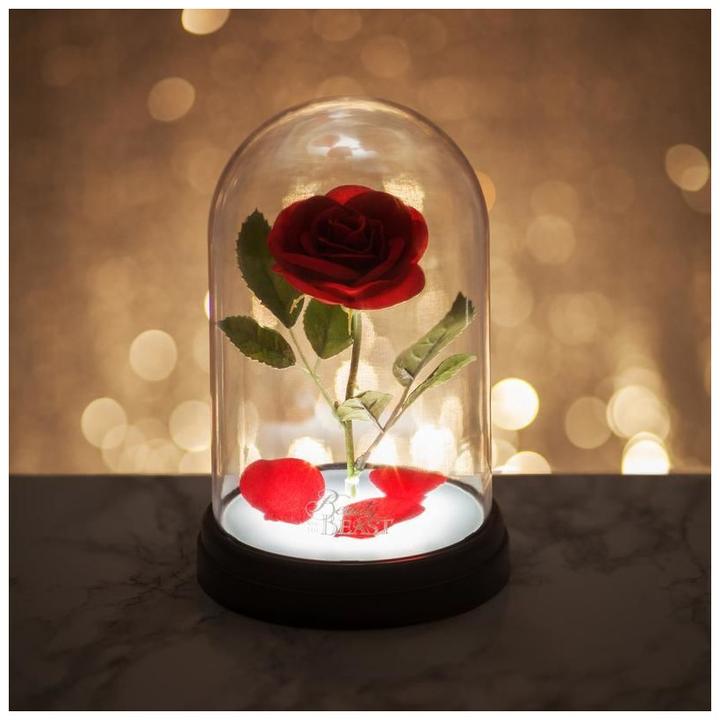 Image du produit Paladone Products Rose enchantée
