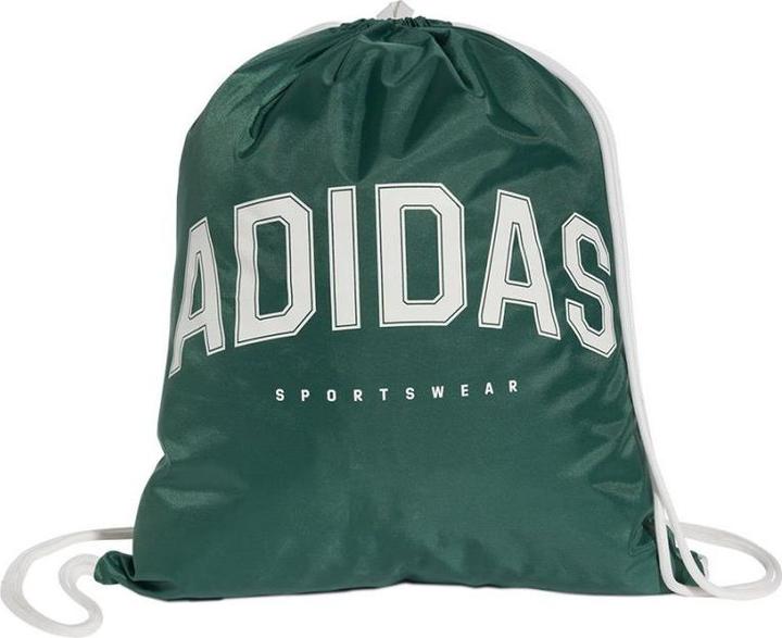 Actual product image adidas VAR Schuhtasche