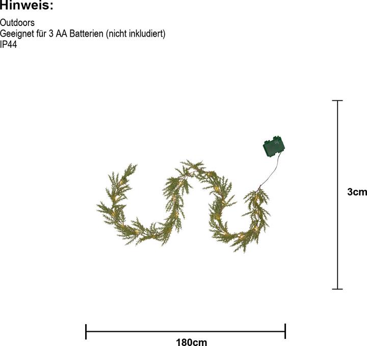 Image du produit Star Trading Thuja
