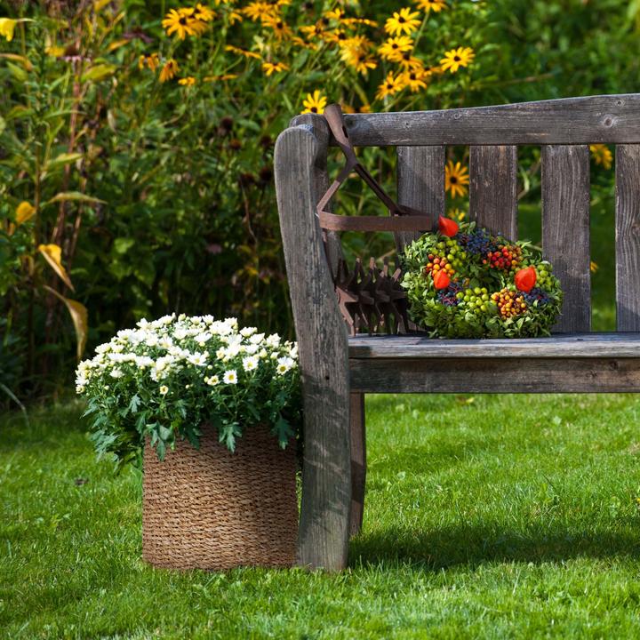 Actual product image Relaxdays plant basket (37 cm)