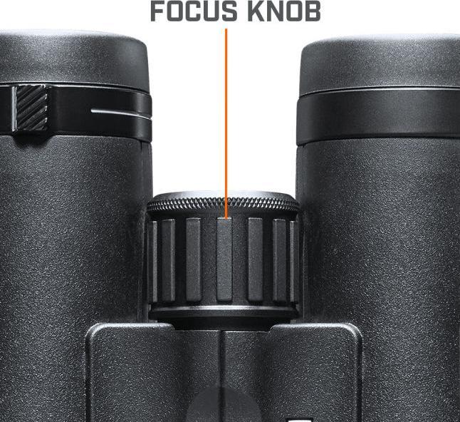 Image du produit Bushnell Engage DX 12x50 Black Roof, FMC, UWB, Dielectric, EXO Barrier (12 x, 50 mm)
