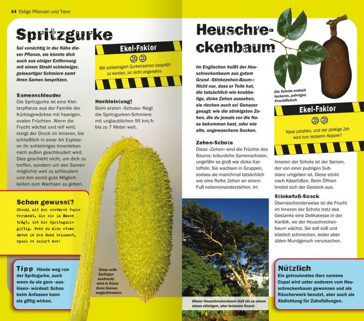 Produktbild Die 100 ekligsten Dinge der Welt (Deutsch, Anna Claybourne, 2024)