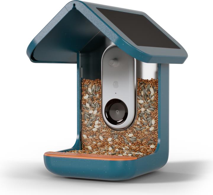 Actual product image Bird Buddy Food dispenser