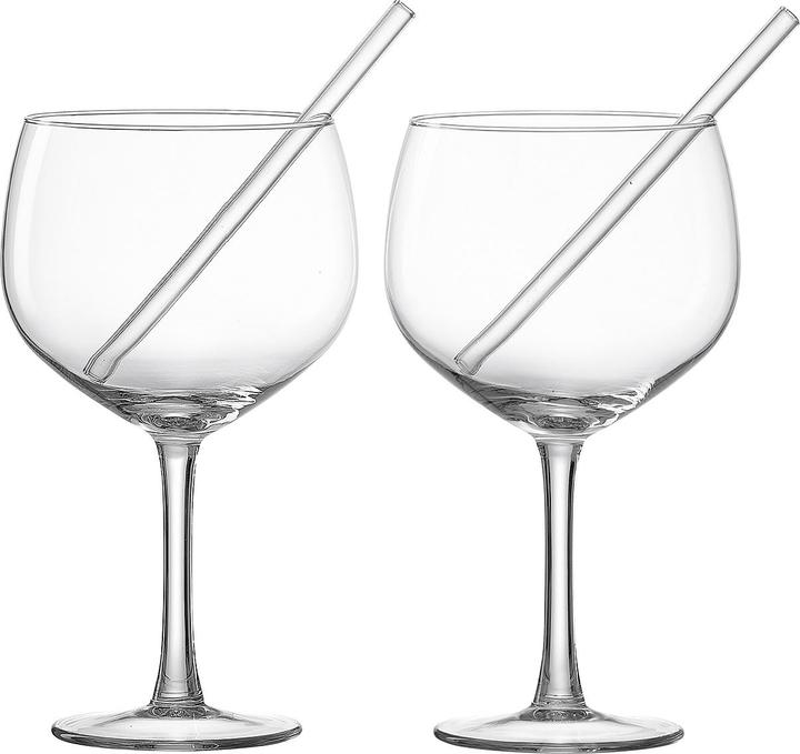 Produktbild Ritzenhoff & Breker Ginglas mit Trinkhalmen 2er Set (6.50 dl, 4 x, Gin Gläser)
