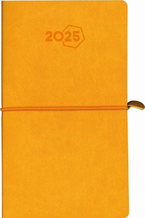 Produktbild Aurora Agenda Visuplan Tesoro 2025 2016 1W/2S ass. ML 9x16.5cm (Deutsch)
