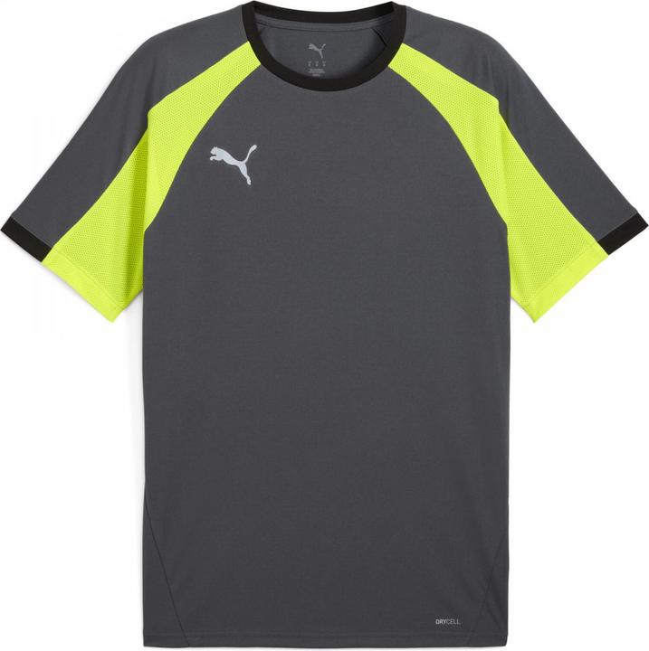 Puma IndividualLIGA Jersey (L)