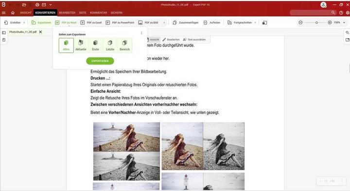 Produktbild Avanquest Expert PDF 15 Home (Code in a Box)