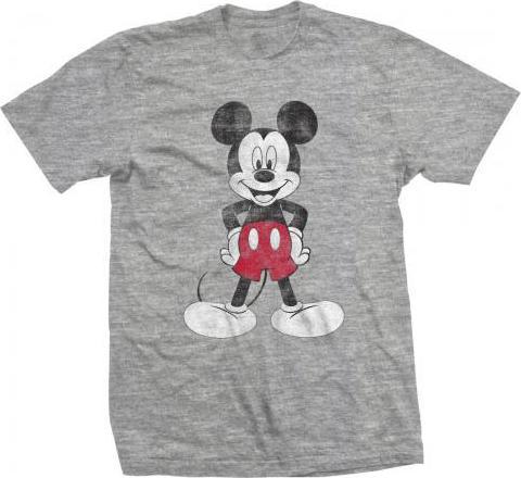 Actual product image Disney Mickey Mouse Pose (S)